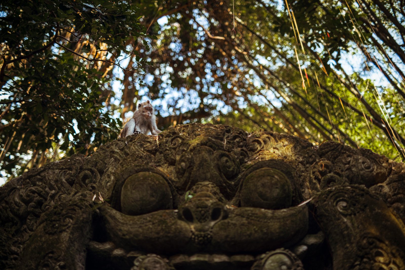 Sacred Monkey Forest Sanctuary